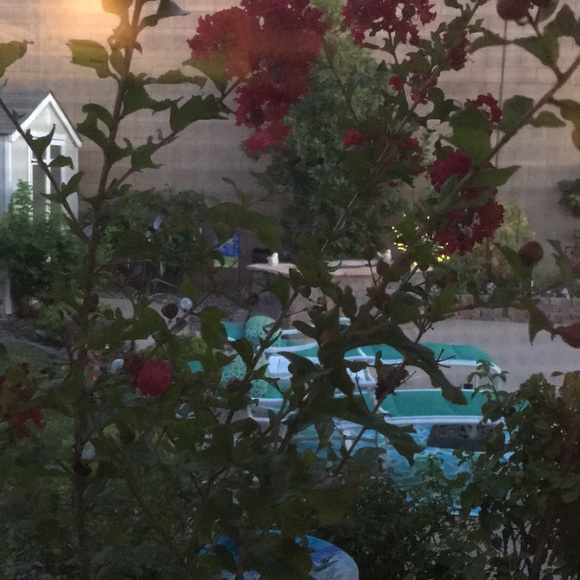 Meet your Posher, Marvel - Picture 1 of 1